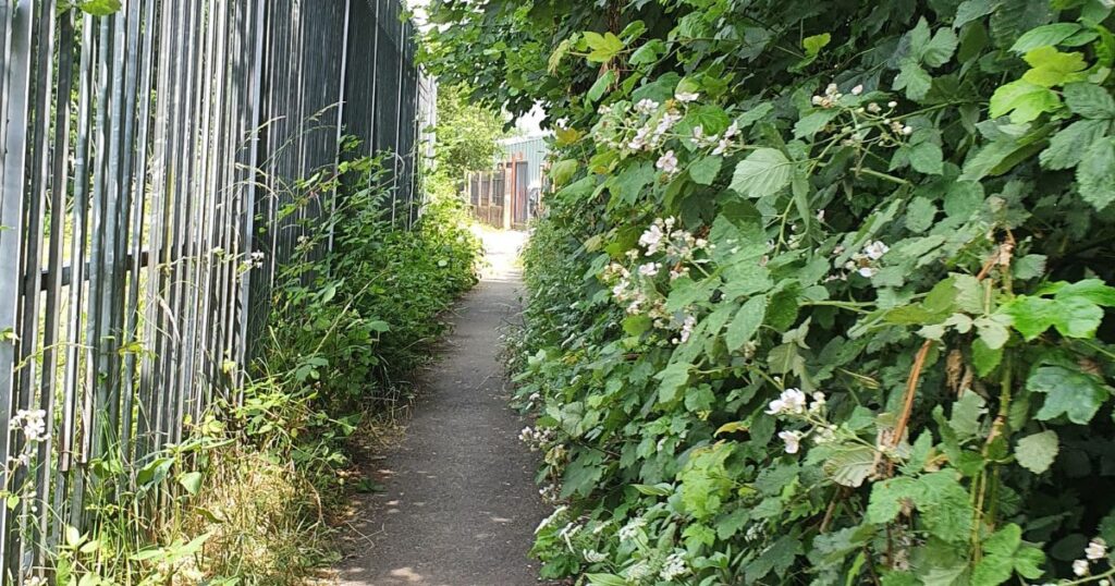 Rhydyfelin to Treforest Footpath